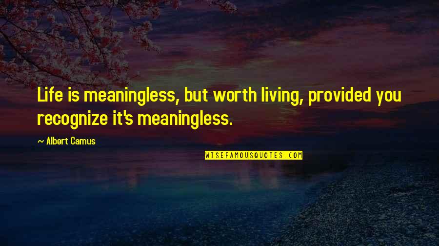 Palamaris George Quotes By Albert Camus: Life is meaningless, but worth living, provided you