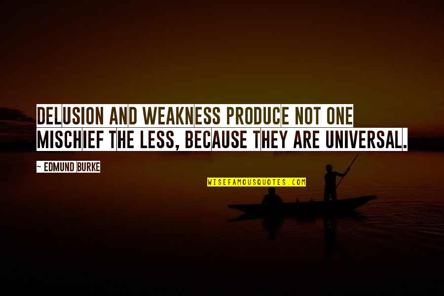 Palamedes Vanguard Quotes By Edmund Burke: Delusion and weakness produce not one mischief the