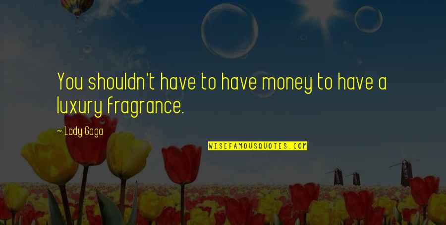 Palance Attack Quotes By Lady Gaga: You shouldn't have to have money to have