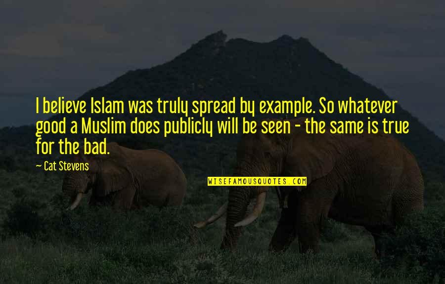 Palassio Quotes By Cat Stevens: I believe Islam was truly spread by example.