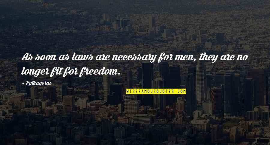 Palatnikov Hong Quotes By Pythagoras: As soon as laws are necessary for men,