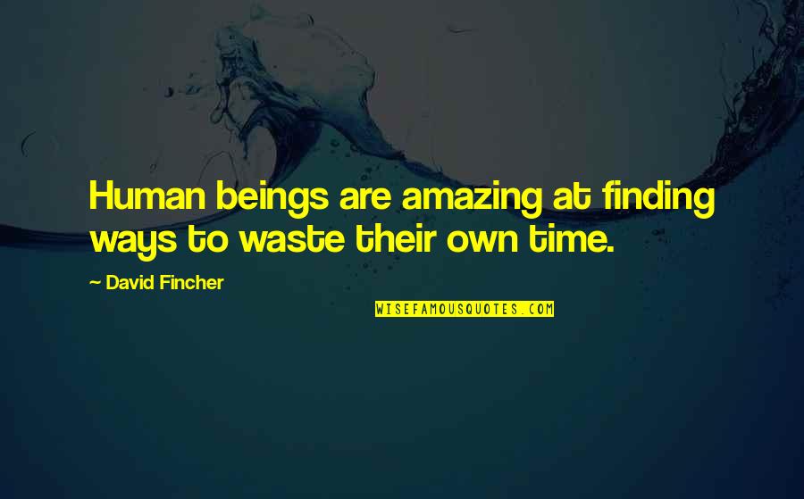 Palazuelos Actor Quotes By David Fincher: Human beings are amazing at finding ways to