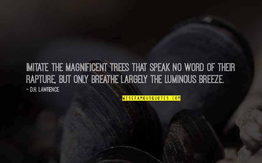 Pale Grunge Quotes By D.H. Lawrence: Imitate the magnificent trees that speak no word