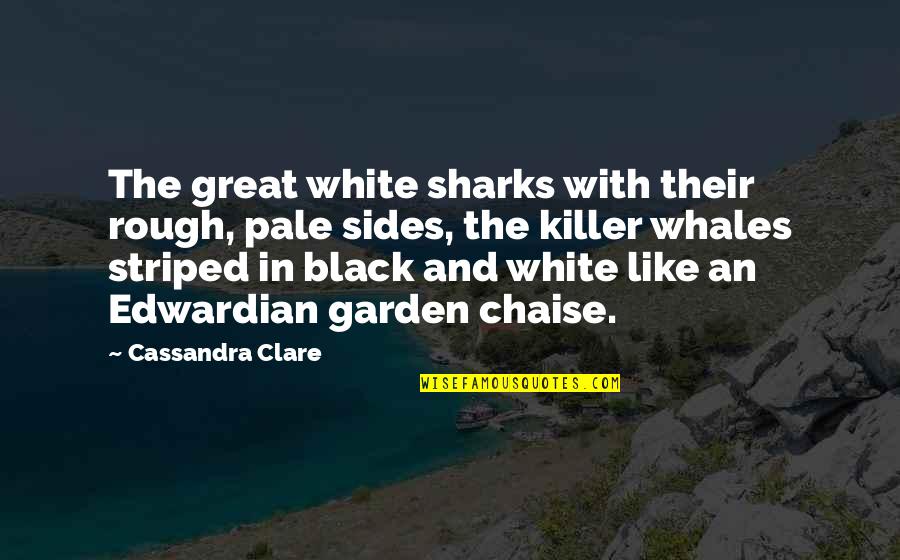 Pale Quotes By Cassandra Clare: The great white sharks with their rough, pale