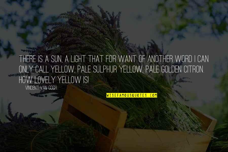 Pale Yellow Quotes By Vincent Van Gogh: There is a sun, a light that for