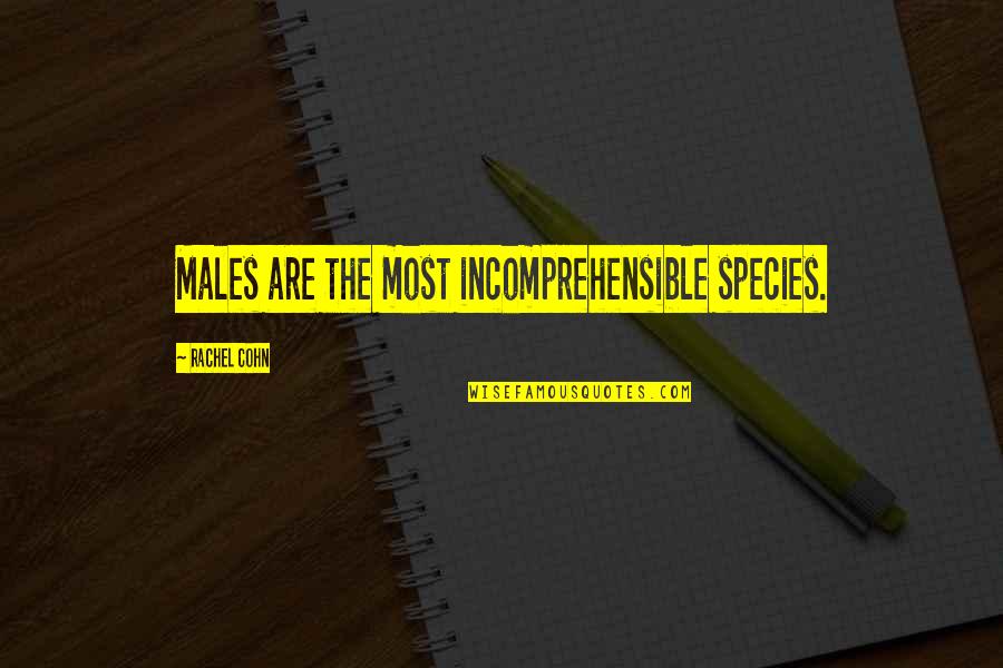 Paleozoic Animals Quotes By Rachel Cohn: Males are the most incomprehensible species. Paleozoic Animals Quotes By Rachel Cohn: Males are the most incomprehensible species.