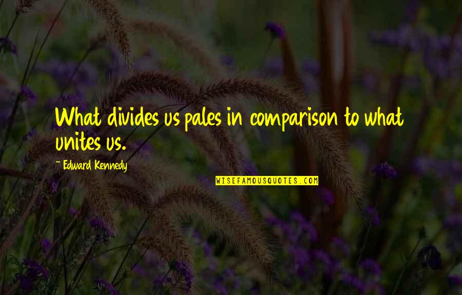 Pales Quotes By Edward Kennedy: What divides us pales in comparison to what