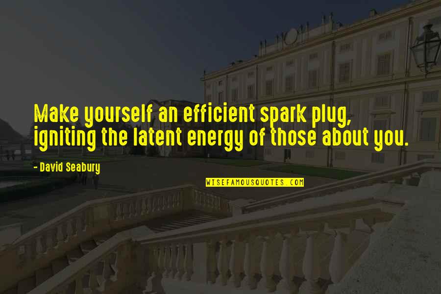 Palinskitchen Quotes By David Seabury: Make yourself an efficient spark plug, igniting the