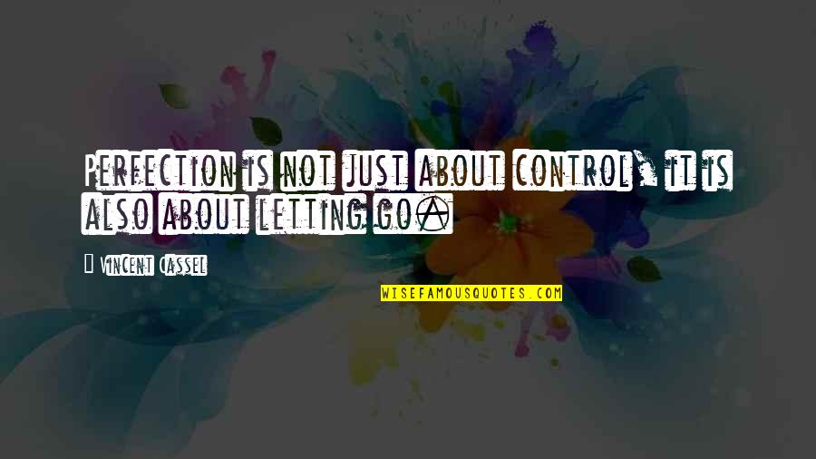 Palissy Pottery Quotes By Vincent Cassel: Perfection is not just about control, it is Palissy Pottery Quotes By Vincent Cassel: Perfection is not just about control, it is