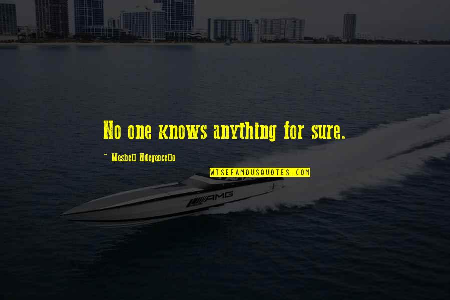 Palizzi Calabria Quotes By Meshell Ndegeocello: No one knows anything for sure. Palizzi Calabria Quotes By Meshell Ndegeocello: No one knows anything for sure.