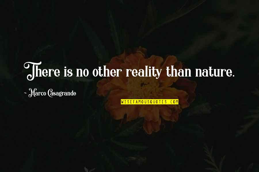 Pallach Maneuver Quotes By Marco Casagrande: There is no other reality than nature. Pallach Maneuver Quotes By Marco Casagrande: There is no other reality than nature.