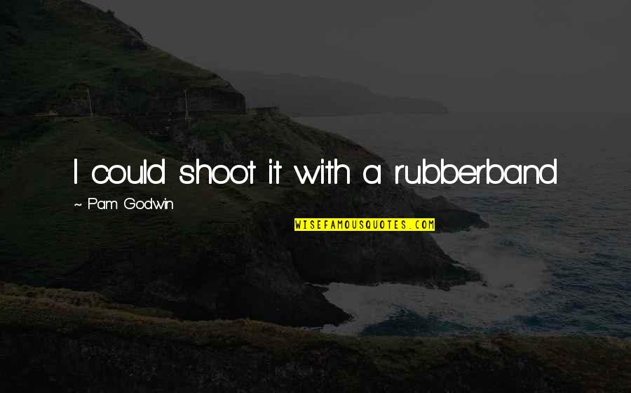 Palliation Quotes By Pam Godwin: I could shoot it with a rubberband Palliation Quotes By Pam Godwin: I could shoot it with a rubberband