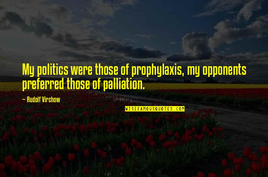 Palliation Quotes By Rudolf Virchow: My politics were those of prophylaxis, my opponents