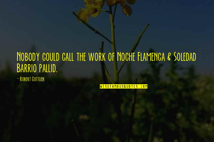 Pallid Quotes By Robert Gottlieb: Nobody could call the work of Noche Flamenca