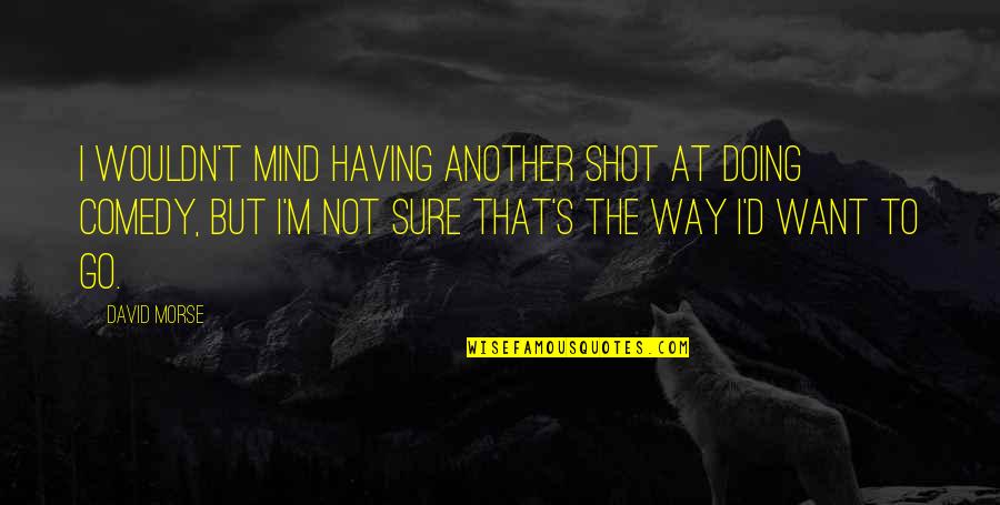 Pallmeyer Delco Quotes By David Morse: I wouldn't mind having another shot at doing Pallmeyer Delco Quotes By David Morse: I wouldn't mind having another shot at doing