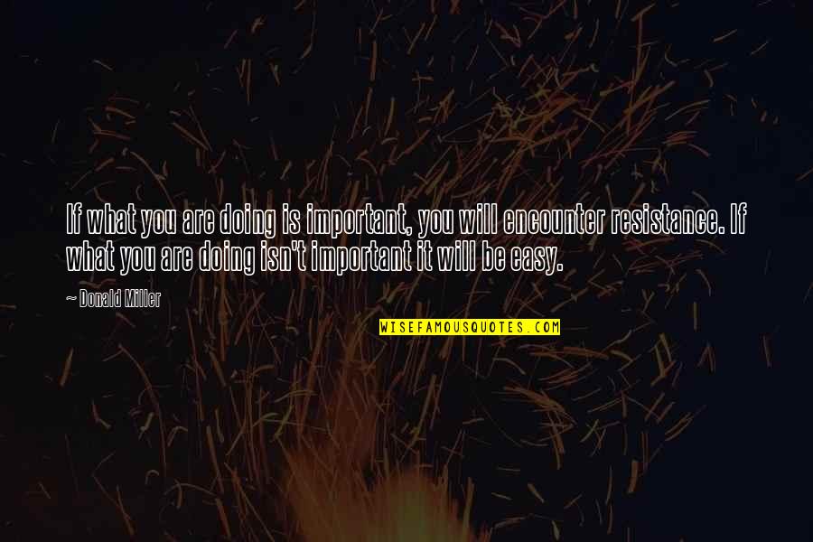 Pallmeyer Delco Quotes By Donald Miller: If what you are doing is important, you Pallmeyer Delco Quotes By Donald Miller: If what you are doing is important, you