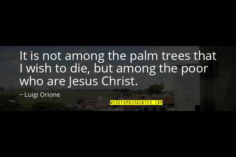 Palm Quotes By Luigi Orione: It is not among the palm trees that