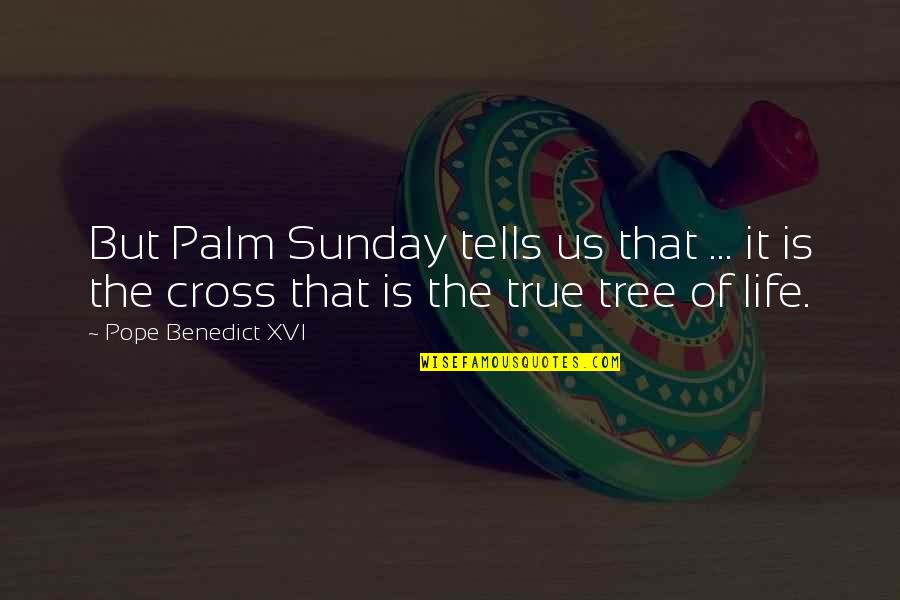 Palm Tree Life Quotes By Pope Benedict XVI: But Palm Sunday tells us that ... it
