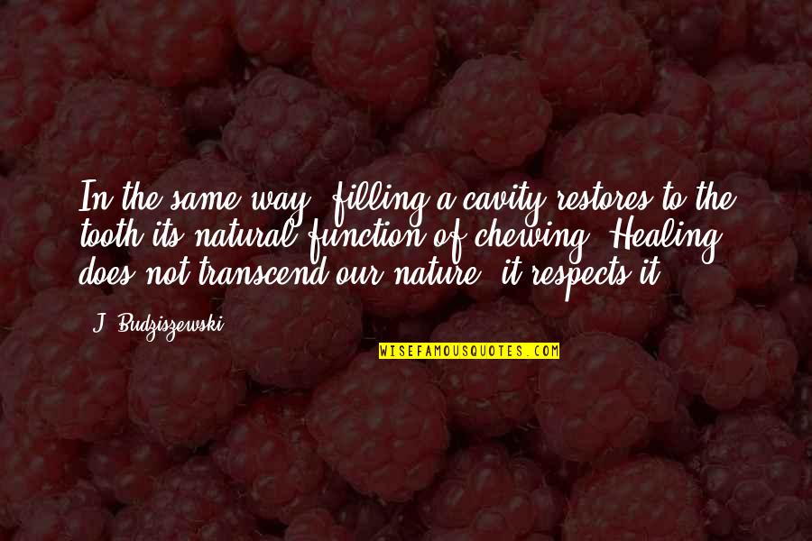 Paltzer Edgar Quotes By J. Budziszewski: In the same way, filling a cavity restores Paltzer Edgar Quotes By J. Budziszewski: In the same way, filling a cavity restores