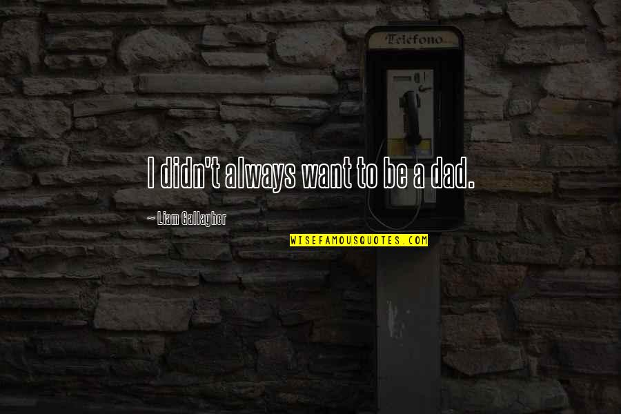 Paludismo Enfermedad Quotes By Liam Gallagher: I didn't always want to be a dad. Paludismo Enfermedad Quotes By Liam Gallagher: I didn't always want to be a dad.