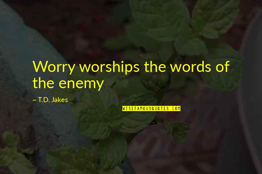 Palughi Landscaping Quotes By T.D. Jakes: Worry worships the words of the enemy