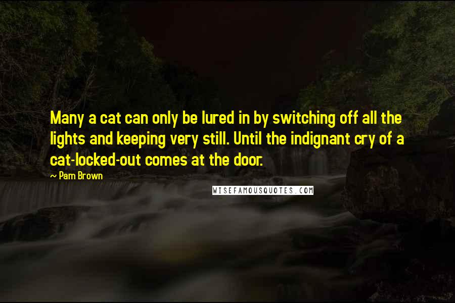 Pam Brown quotes: Many a cat can only be lured in by switching off all the lights and keeping very still. Until the indignant cry of a cat-locked-out comes at the door.