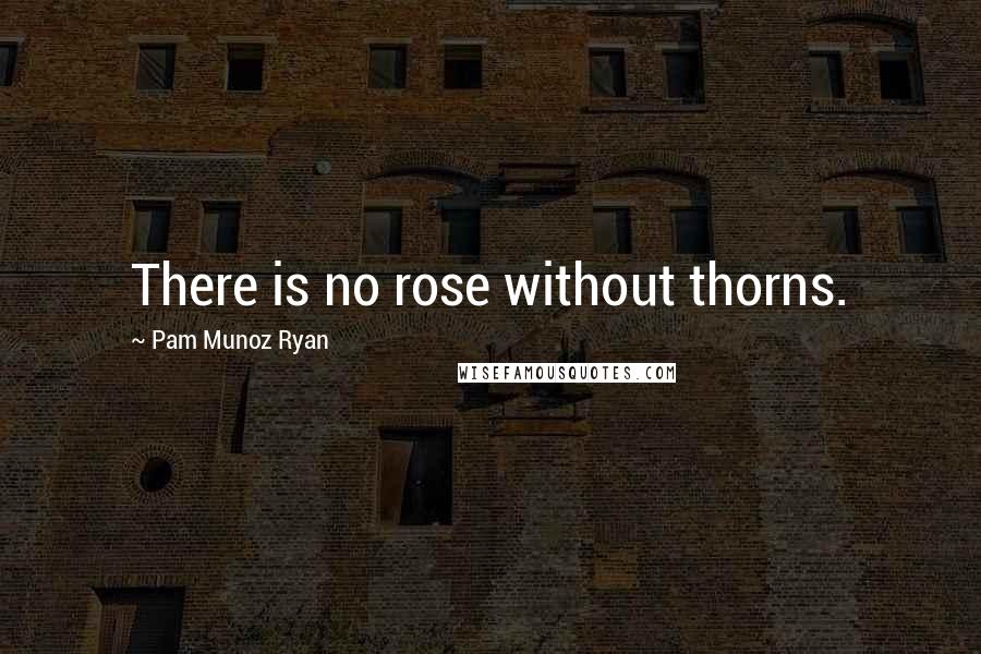 Pam Munoz Ryan quotes: There is no rose without thorns.