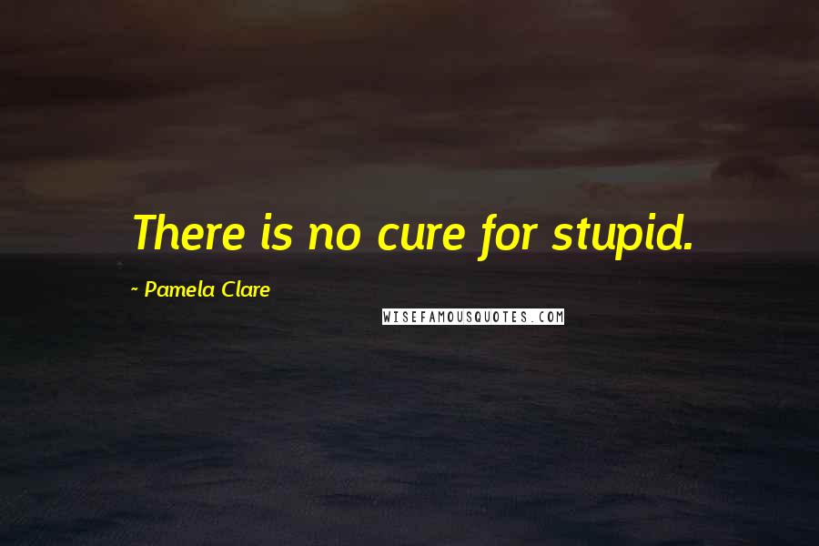 Pamela Clare quotes: There is no cure for stupid.