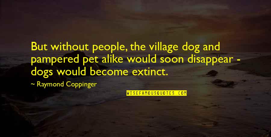 Pampered Dog Quotes By Raymond Coppinger: But without people, the village dog and pampered