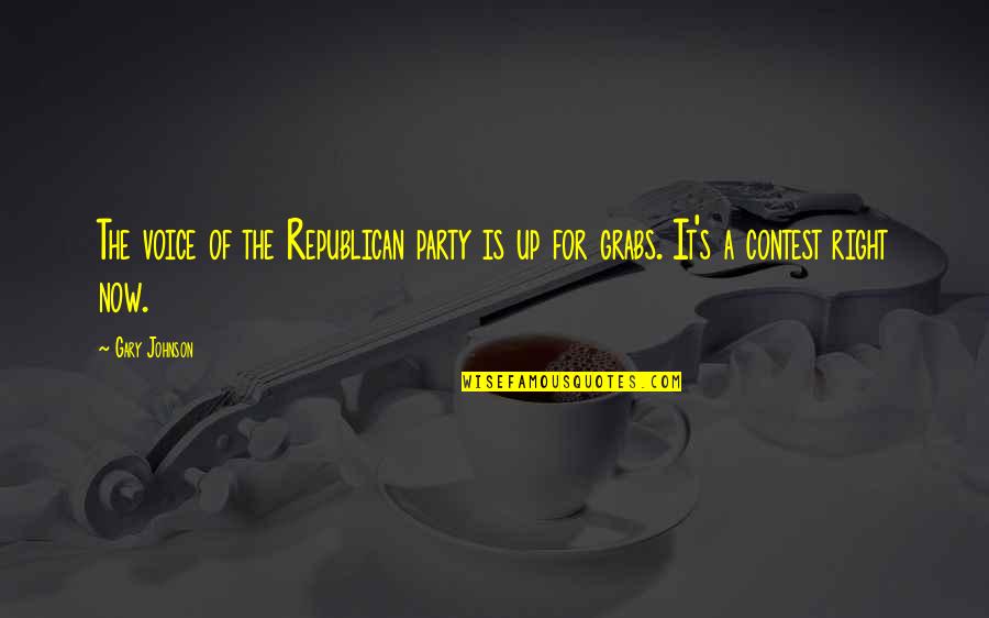 Pamploma Quotes By Gary Johnson: The voice of the Republican party is up