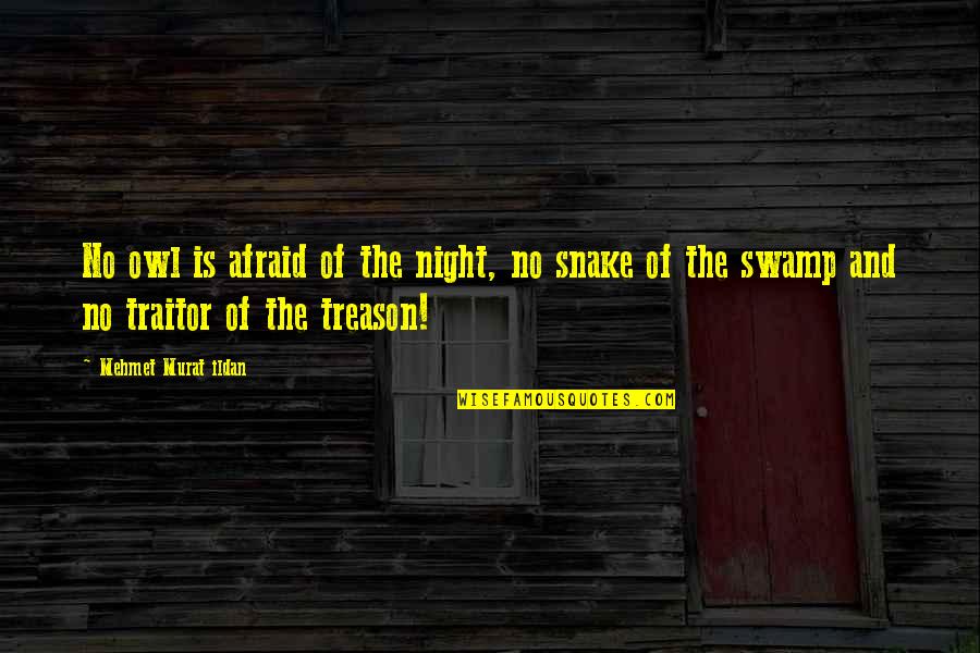 Panagiotis Konstantilakis Quotes By Mehmet Murat Ildan: No owl is afraid of the night, no Panagiotis Konstantilakis Quotes By Mehmet Murat Ildan: No owl is afraid of the night, no