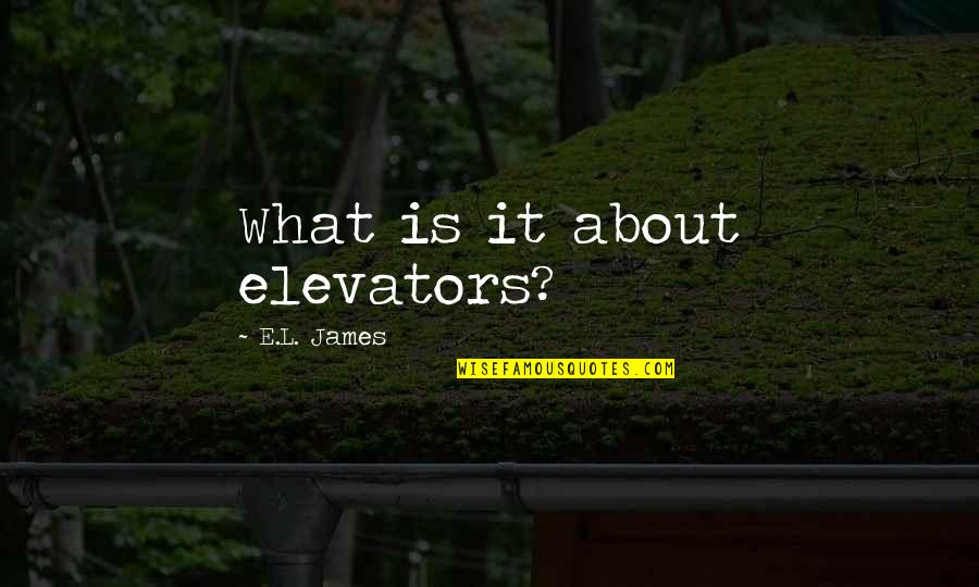Panchanan Bhattacharya Quotes By E.L. James: What is it about elevators?