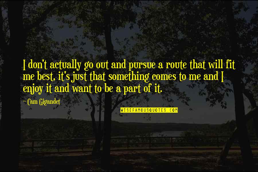 Panchkula Quotes By Cam Gigandet: I don't actually go out and pursue a Panchkula Quotes By Cam Gigandet: I don't actually go out and pursue a