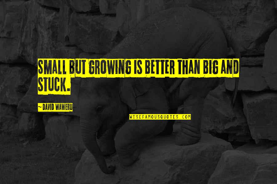 Pandaean Quotes By David Waweru: Small but growing is better than big and Pandaean Quotes By David Waweru: Small but growing is better than big and