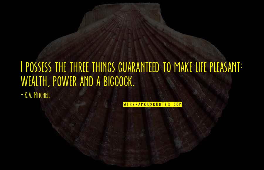 Panders Synonyms Quotes By K.A. Mitchell: I possess the three things guaranteed to make