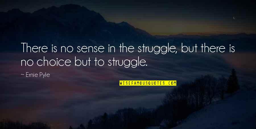 Pandey Ji Quotes By Ernie Pyle: There is no sense in the struggle, but