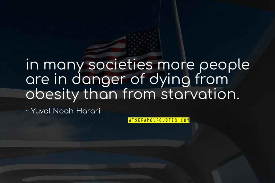 Panelling Quotes By Yuval Noah Harari: in many societies more people are in danger