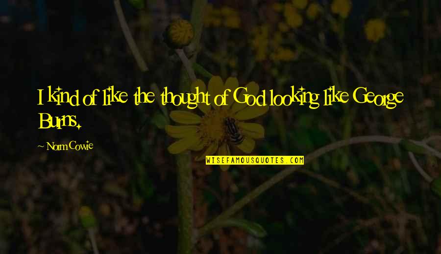 Panevezys Quotes By Norm Cowie: I kind of like the thought of God