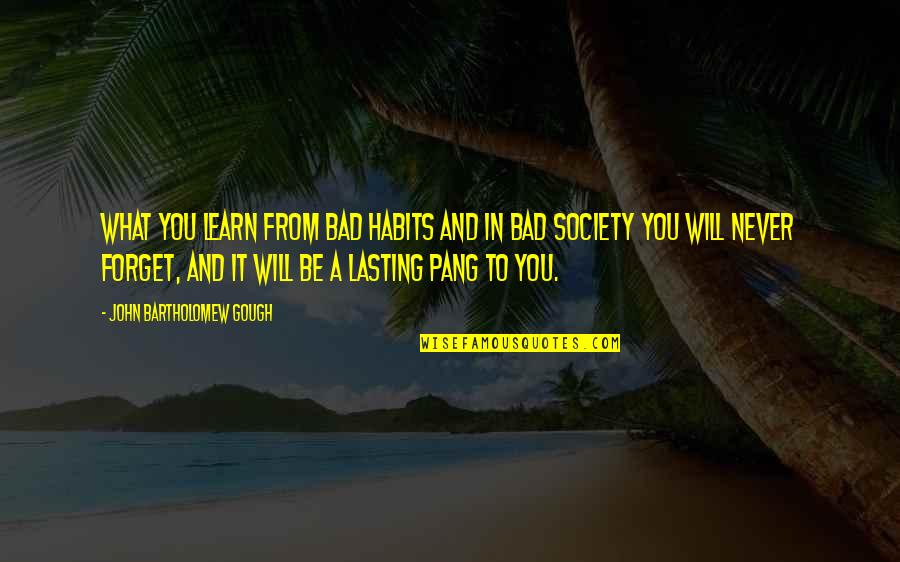 Pang Pang Pang Quotes By John Bartholomew Gough: What you learn from bad habits and in