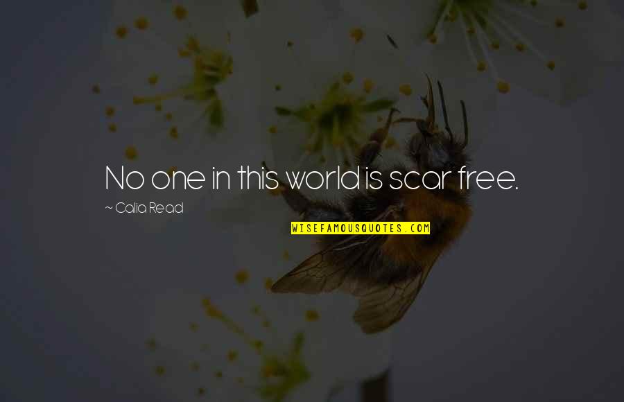 Pang Sayo Quotes By Calia Read: No one in this world is scar free.