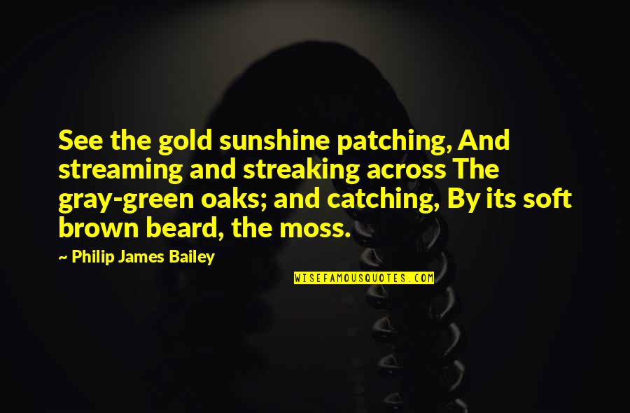 Pangas Quotes By Philip James Bailey: See the gold sunshine patching, And streaming and