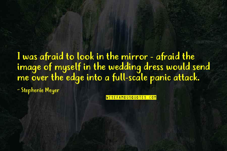 Panic Attack Quotes By Stephenie Meyer: I was afraid to look in the mirror