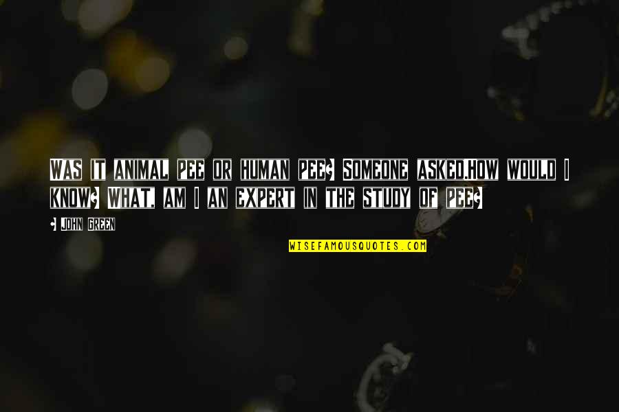 Panicles Quotes By John Green: Was it animal pee or human pee? Someone