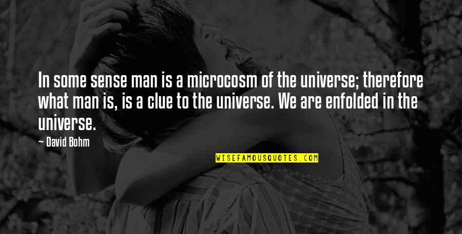 Panics Arts Quotes By David Bohm: In some sense man is a microcosm of Panics Arts Quotes By David Bohm: In some sense man is a microcosm of