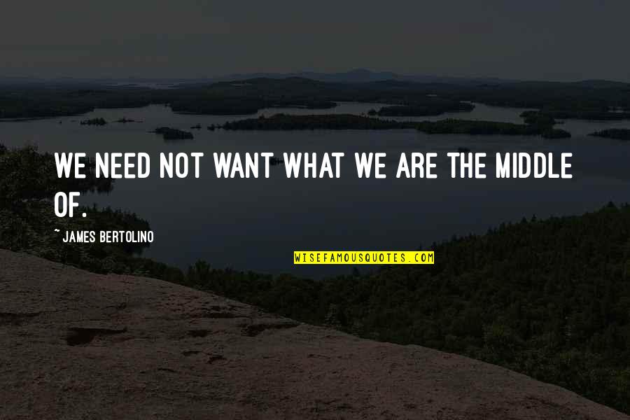 Panikos Quotes By James Bertolino: We need not want what we are the Panikos Quotes By James Bertolino: We need not want what we are the