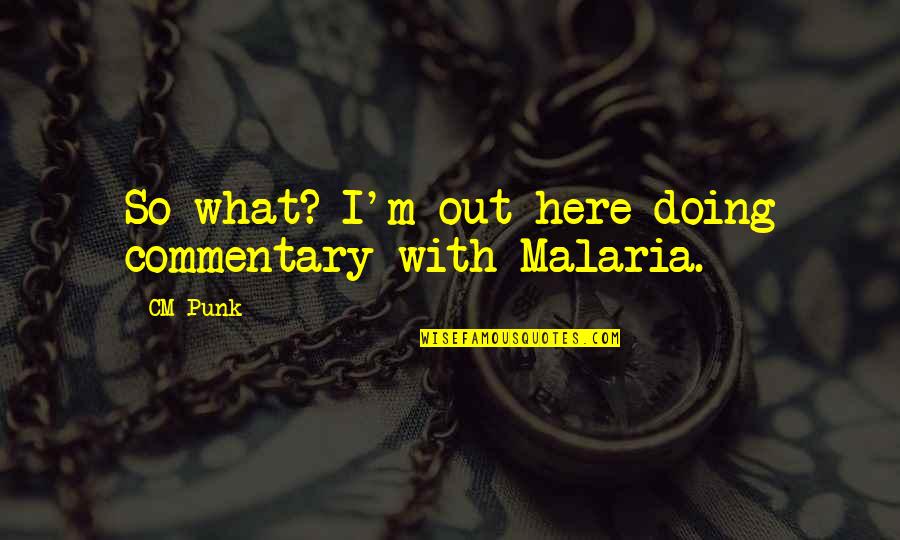 Pannotia Quotes By CM Punk: So what? I'm out here doing commentary with