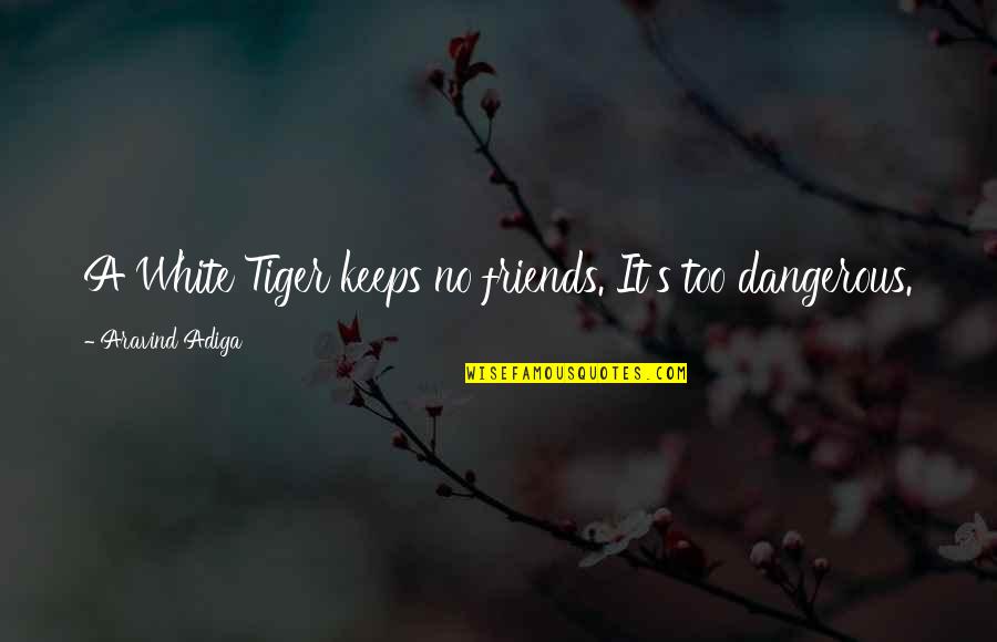 Panoutsos Daily Quotes By Aravind Adiga: A White Tiger keeps no friends. It's too