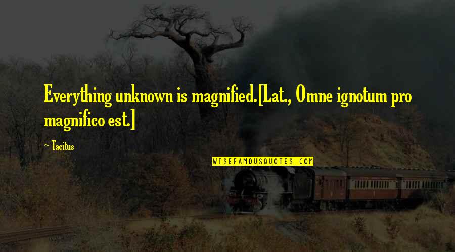 Panoutsos Daily Quotes By Tacitus: Everything unknown is magnified.[Lat., Omne ignotum pro magnifico