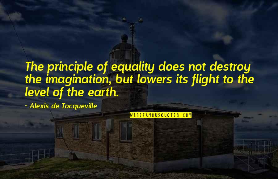 Pansexual Quotes By Alexis De Tocqueville: The principle of equality does not destroy the