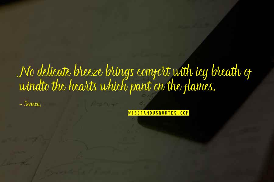 Pant Quotes By Seneca.: No delicate breeze brings comfort with icy breath Pant Quotes By Seneca.: No delicate breeze brings comfort with icy breath